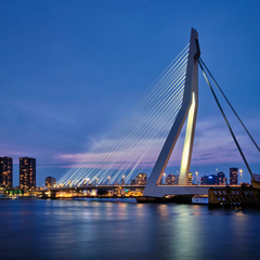 Erasmus Bridge